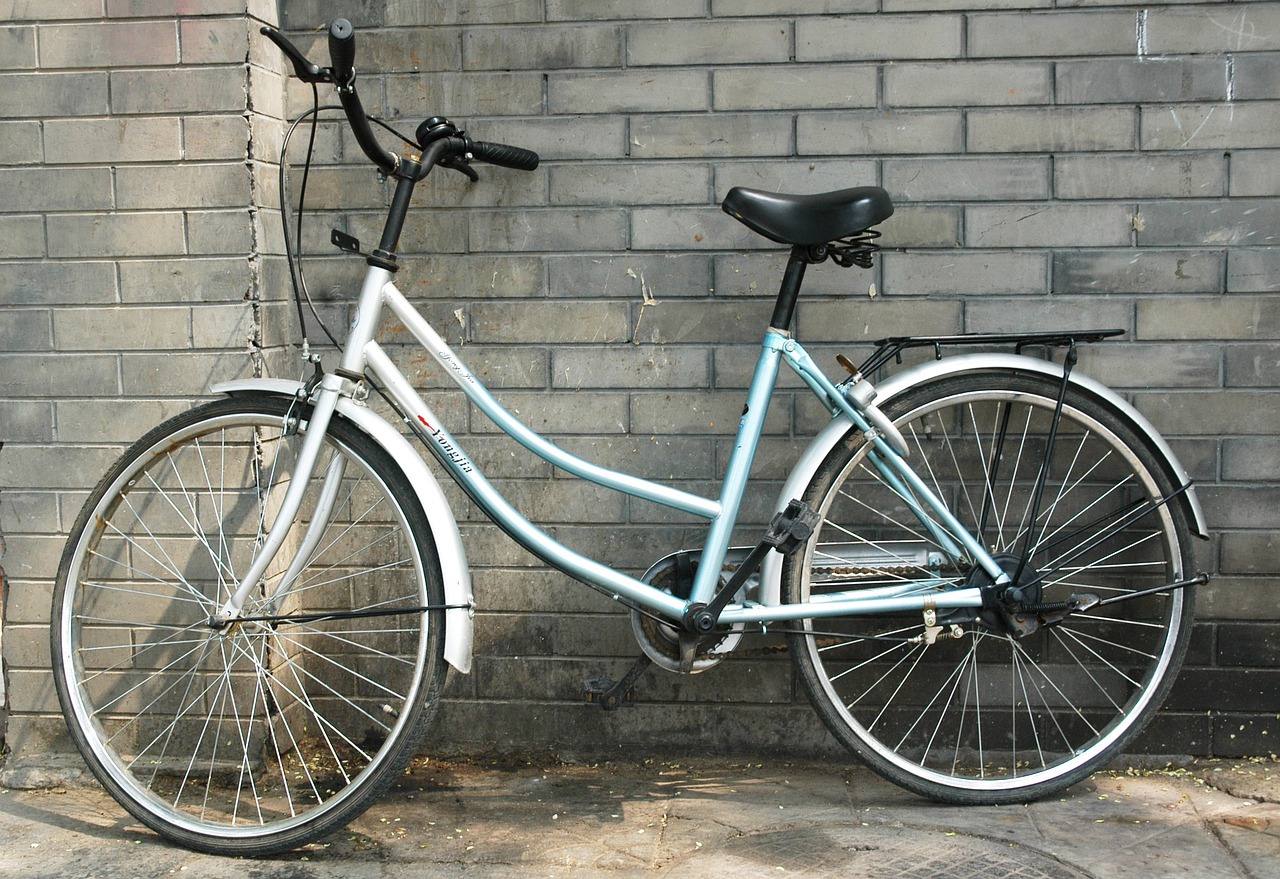Een elektrische fiets dames maakt het leven leuker!